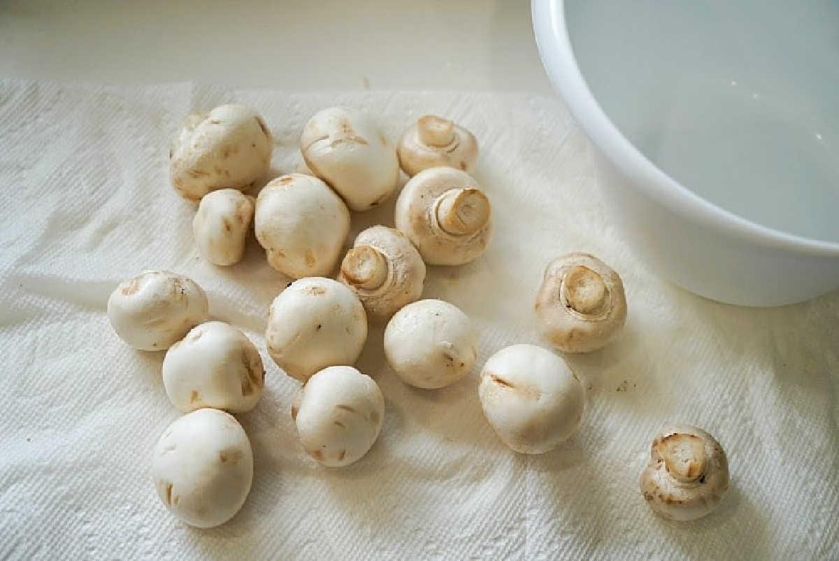 White mushrooms, perfect for air fryer mushrooms, scattered on a paper towel next to a white bowl.