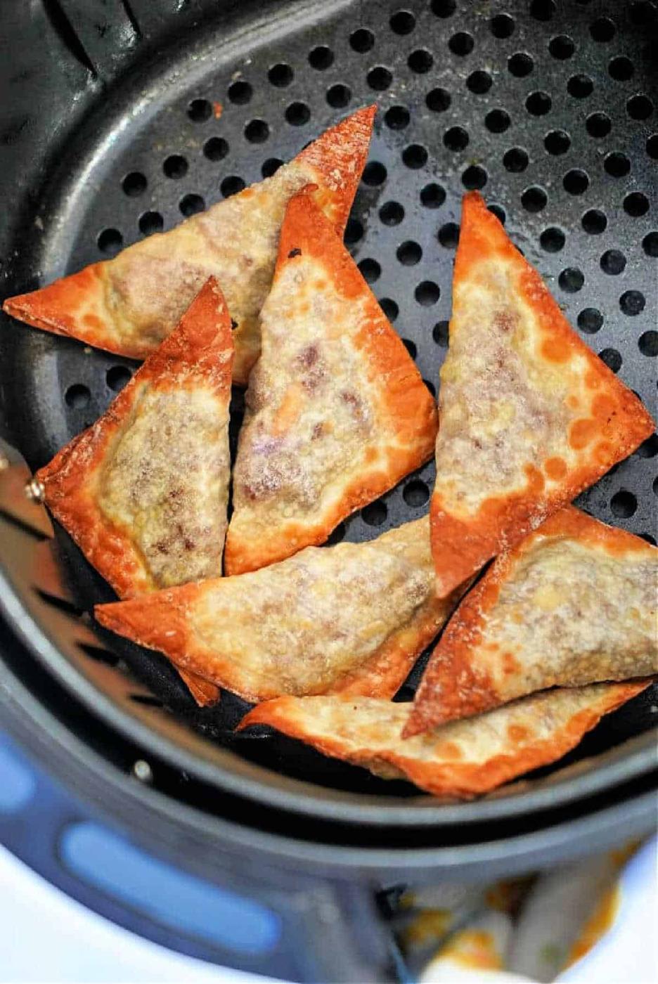 Homemade Air Fryer Won Tons
