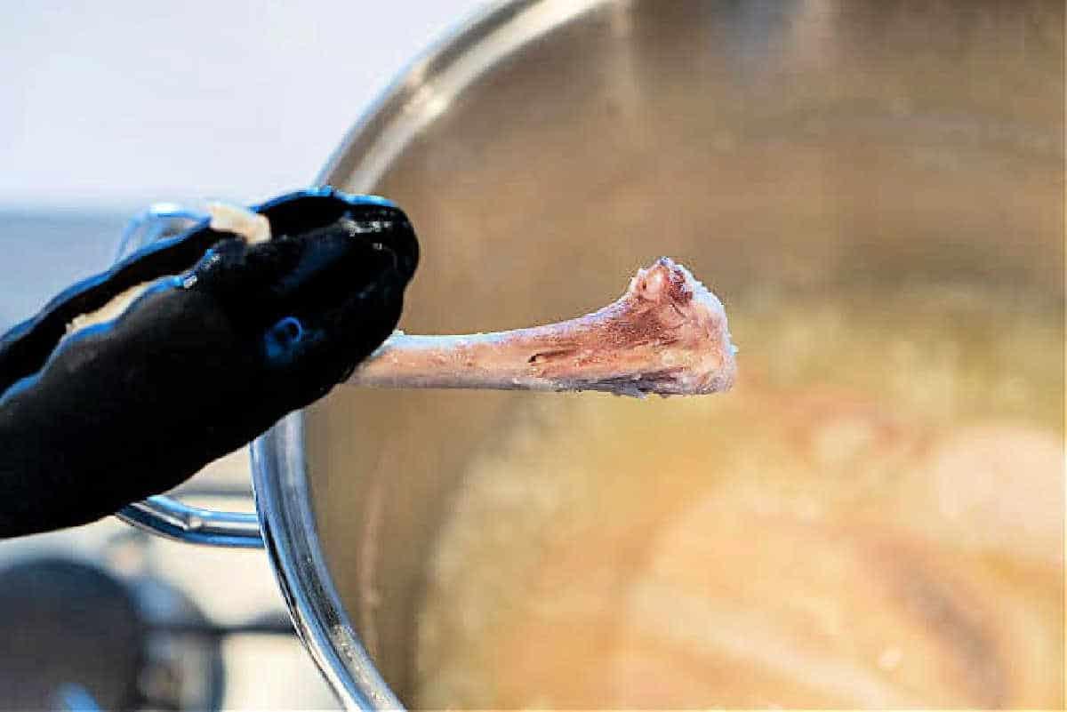 How to Boil Chicken for Dogs