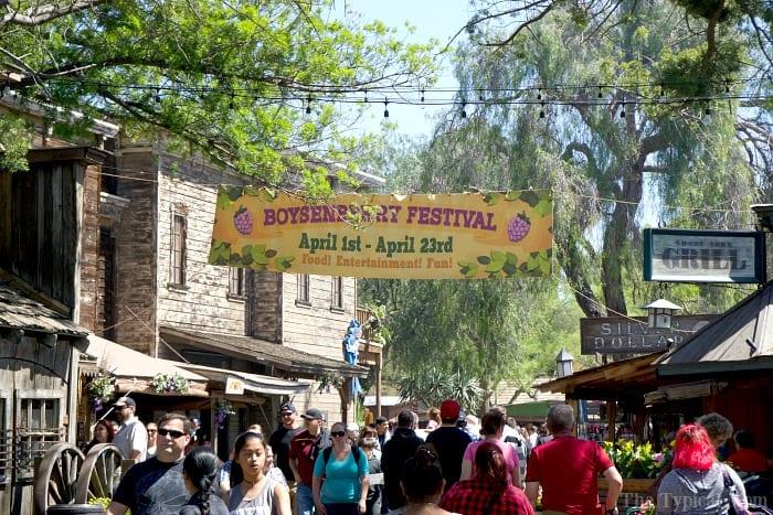 What is the Boysenberry Festival