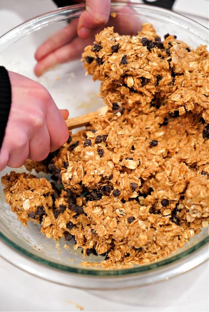 Chocolate Peanut Butter Bars