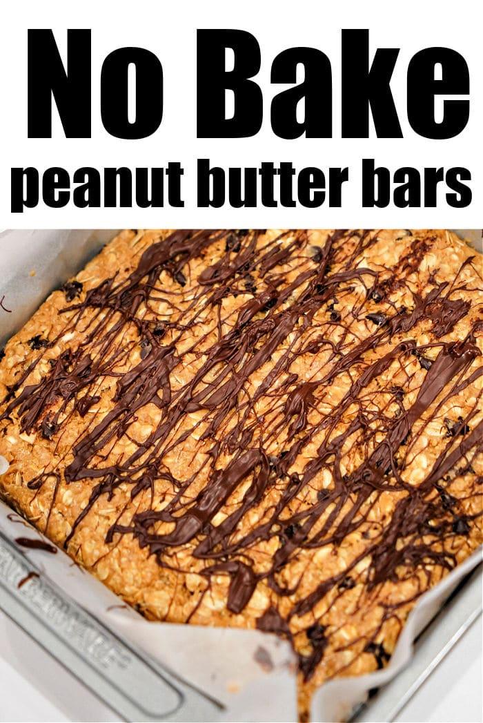 Chocolate Peanut Butter Bars