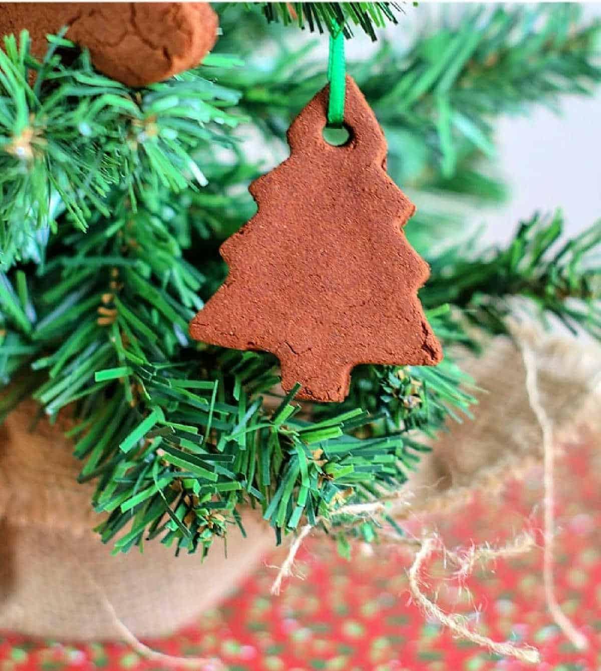 2 Ingredient Cinnamon Ornaments Recipe