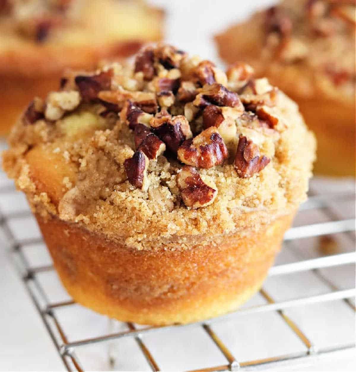 Bakery Style Coffee Cake Muffin Recipe