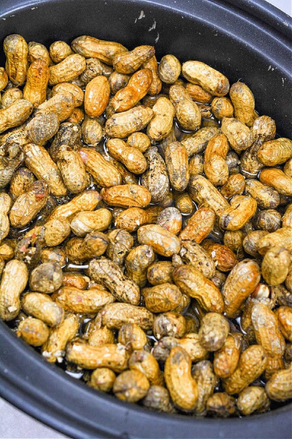 Crockpot Boiled Peanuts in their shells soaking in a black slow cooker with visible water.