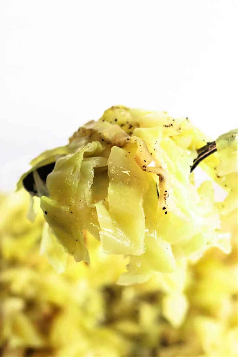 Simple Crockpot Cabbage Recipes