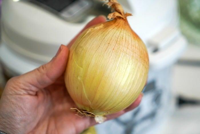onion
