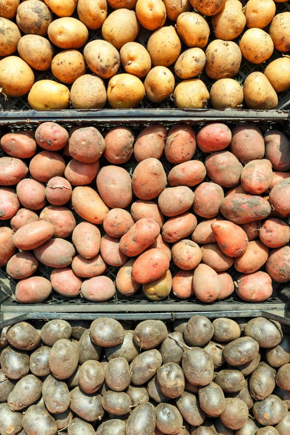 Different Types of Potatoes