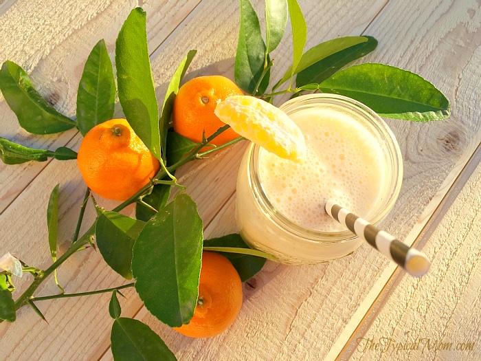 Mandarin Orange Smoothie Recipe