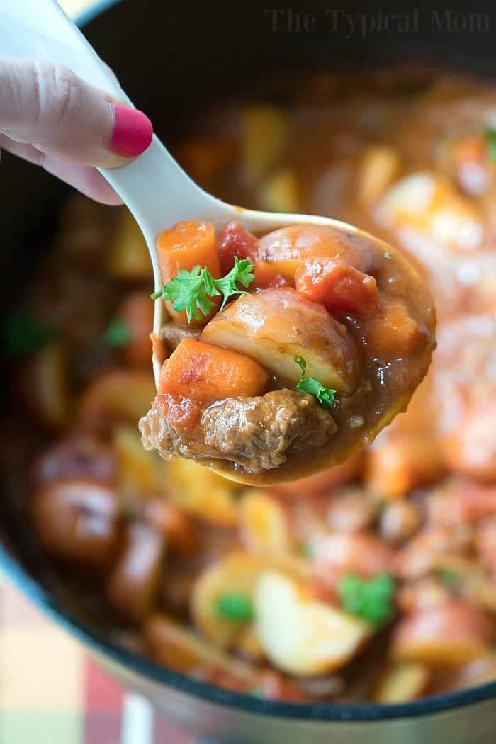 dutch oven stew