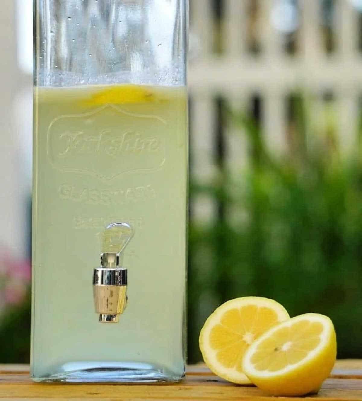 Fresh Squeezed Lemonade