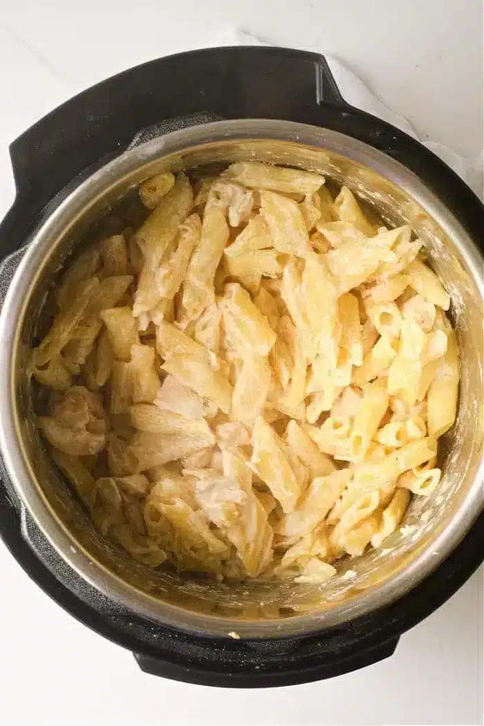 Frozen Chicken and Noodles Instant Pot