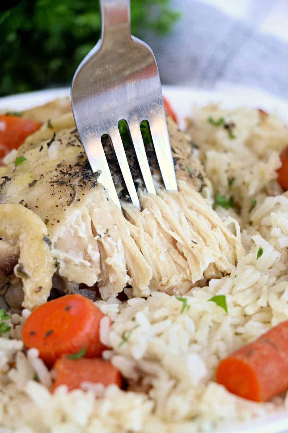 Frozen Chicken and Rice Instant Pot