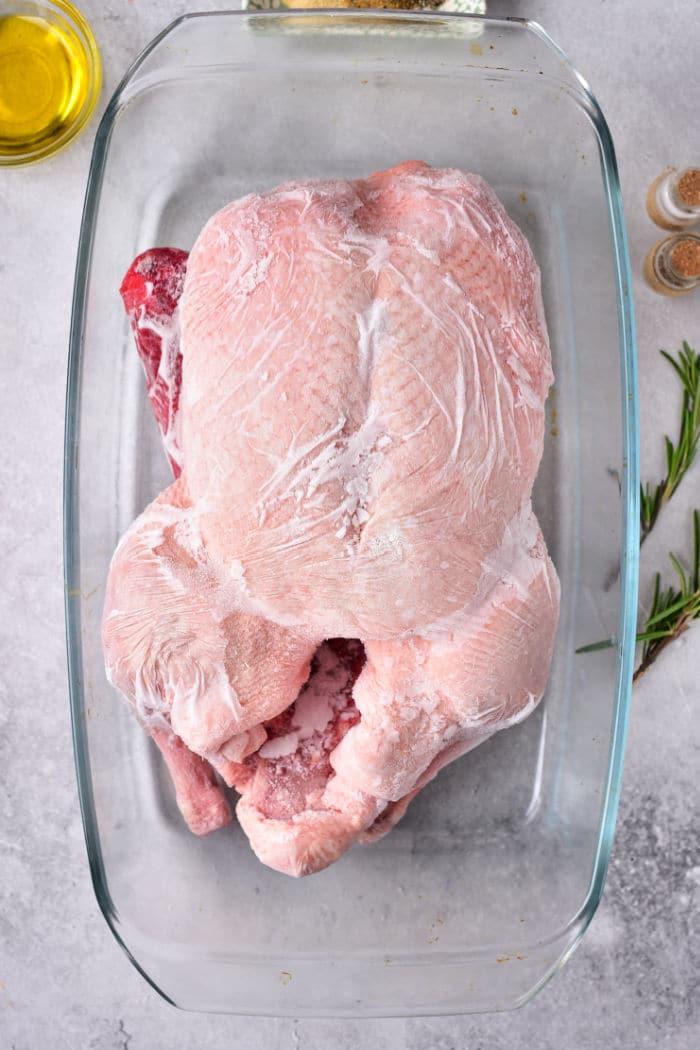 Frozen Duck
