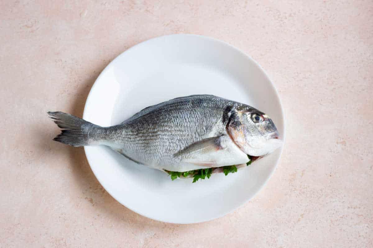 Best Fish to Fry Whole Without Bones
