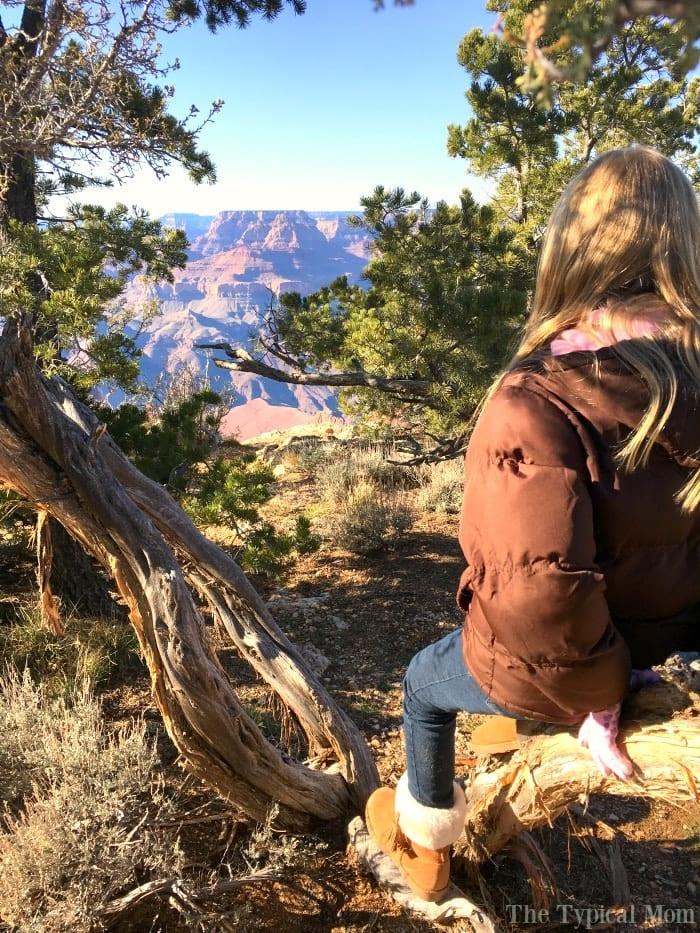 Things to do at The Grand Canyon