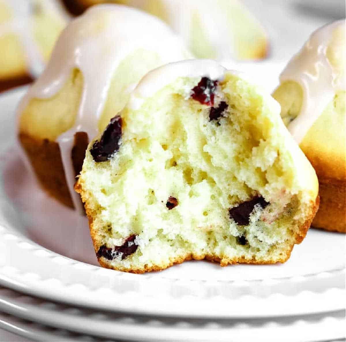 Dried Cranberry Muffins with Yogurt
