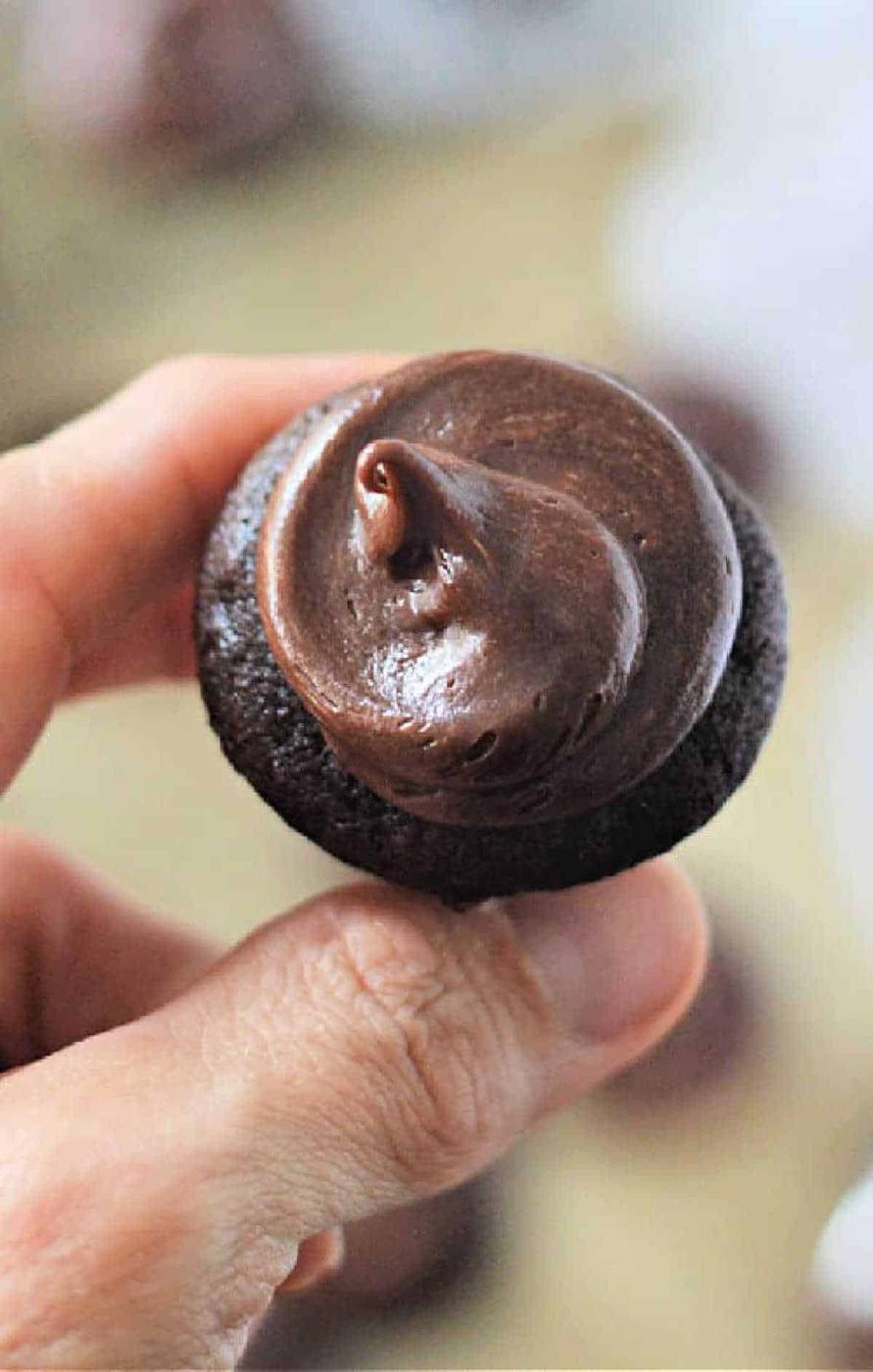 Mini Chocolate Cupcakes 24
