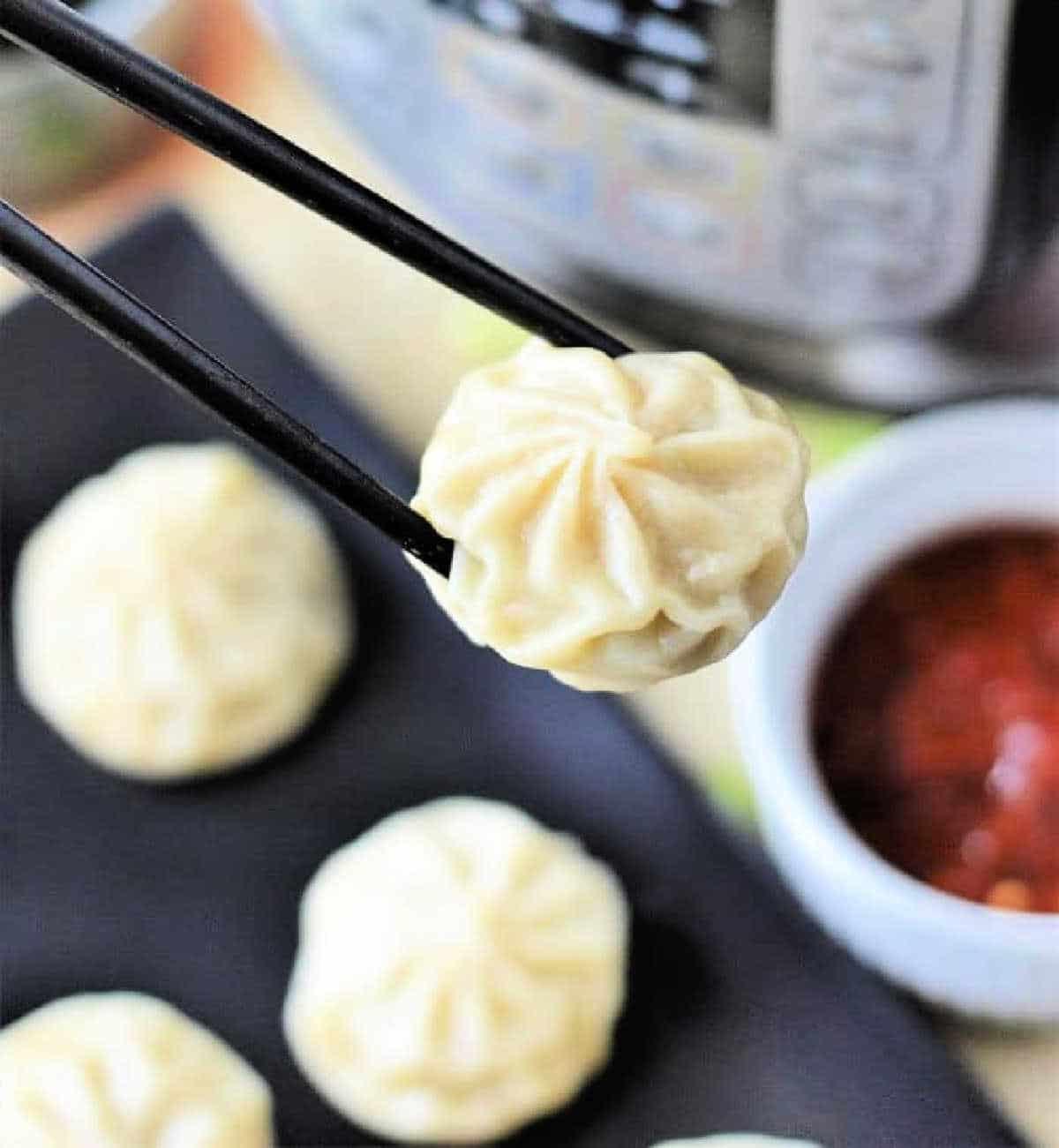 How to Cook Frozen Dumplings