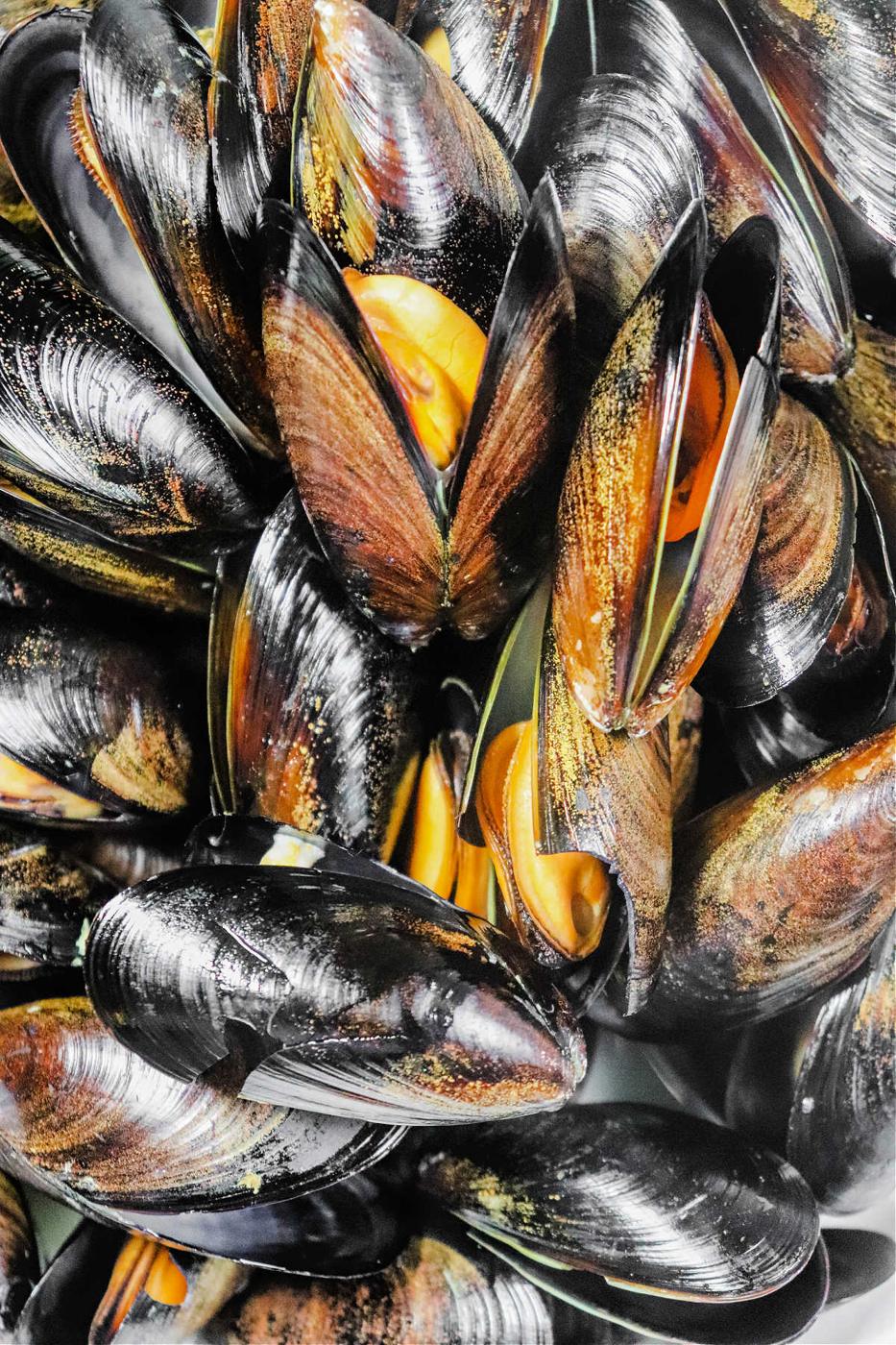How to Cook Frozen Mussels