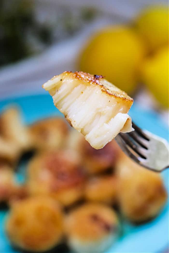 How to Cook Frozen Scallops
