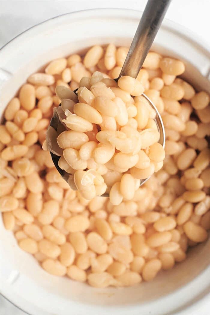 Great Northern Beans Recipe