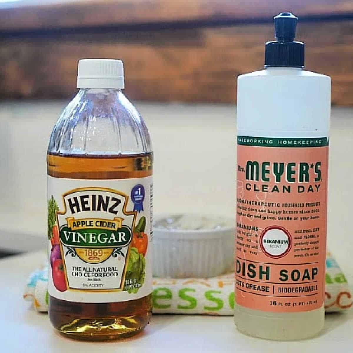 How to Get Rid of Gnats Naturally