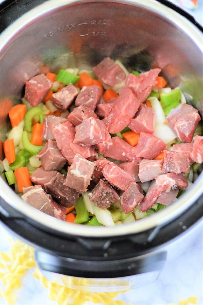 Instant Pot Beef and Noodle Soup