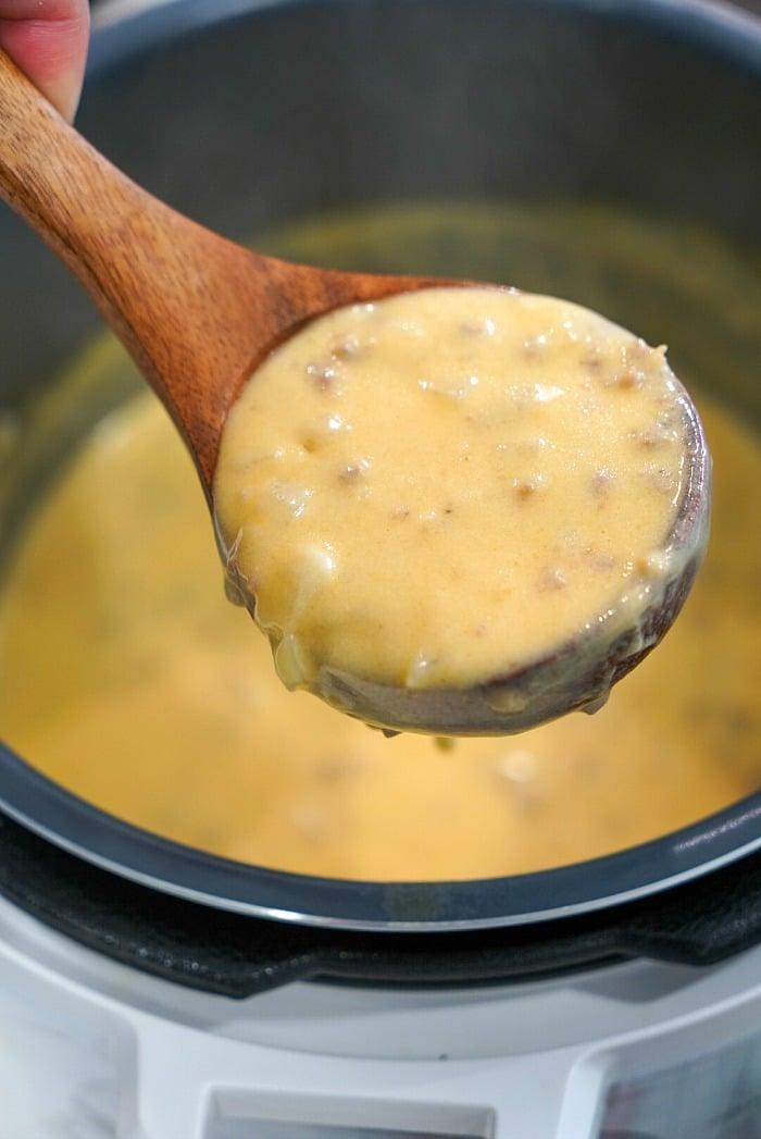 instant pot beer cheese soup