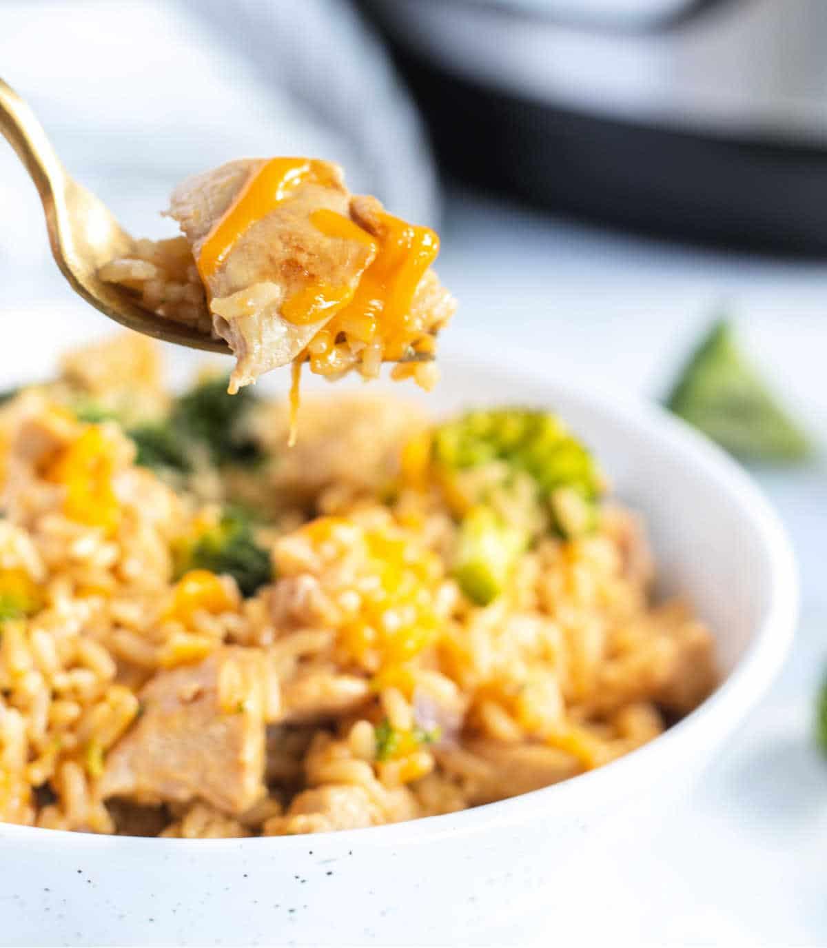 Cheesy Instant Pot Chicken and Rice