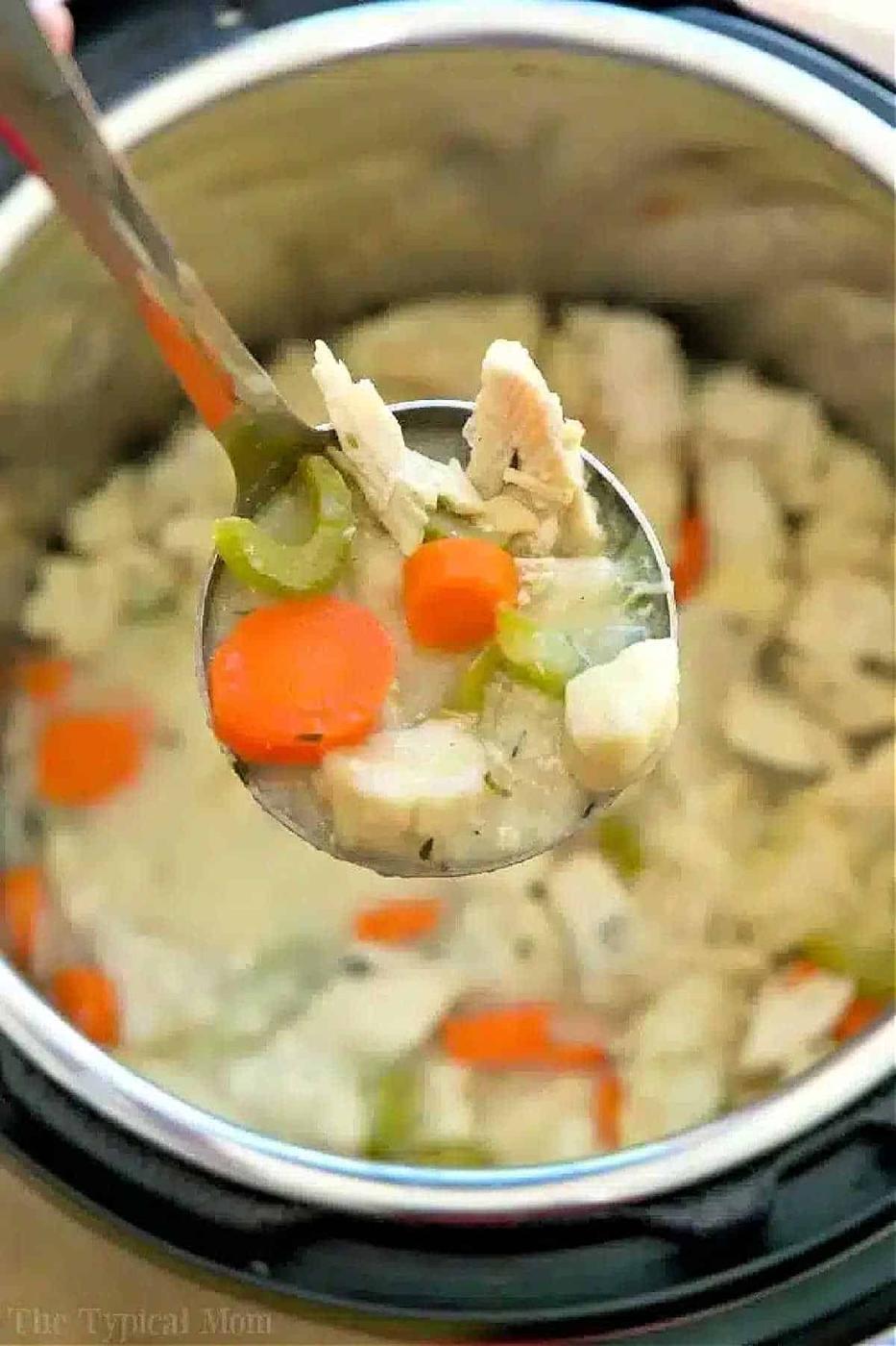Instant Pot Chicken and Dumplings