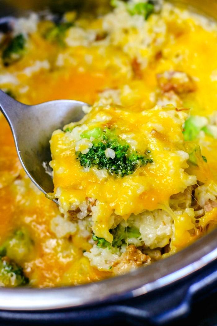 instant pot chicken and rice