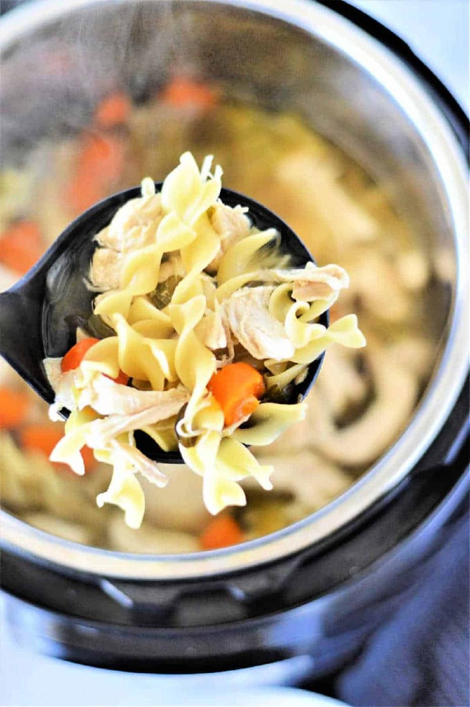 Instant Pot Chicken Noodle Soup with Frozen Chicken