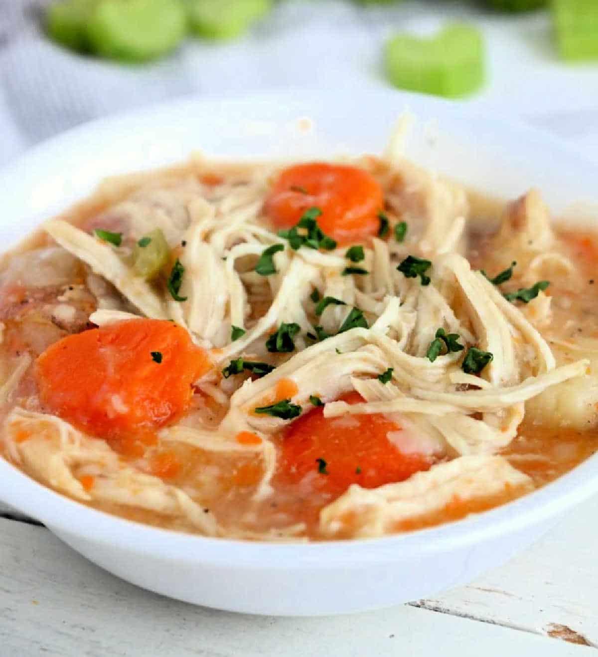 Instant Pot Chicken Stew