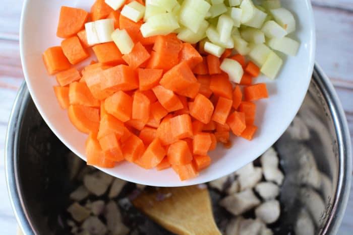 Instant Pot Vegetable Soup