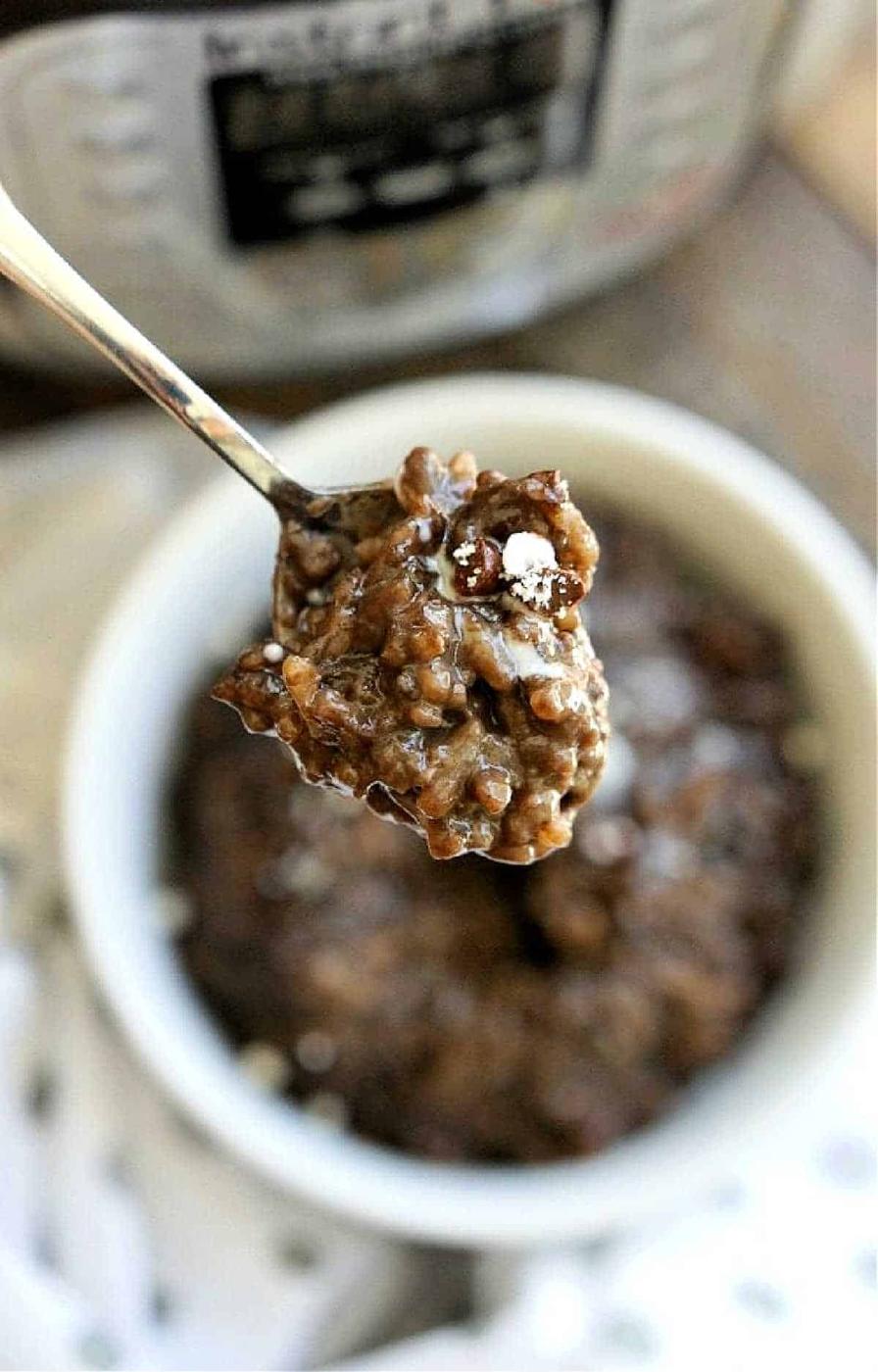 Instant Pot Chocolate Rice Pudding