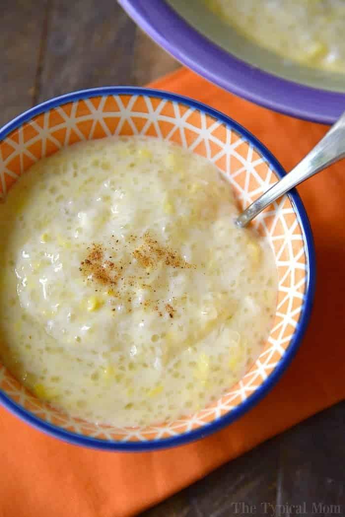 A bowl of creamy tapioca pudding with a sprinkle of cinnamon rests on an orange napkin, showcasing one of the finest instant pot dessert recipes.