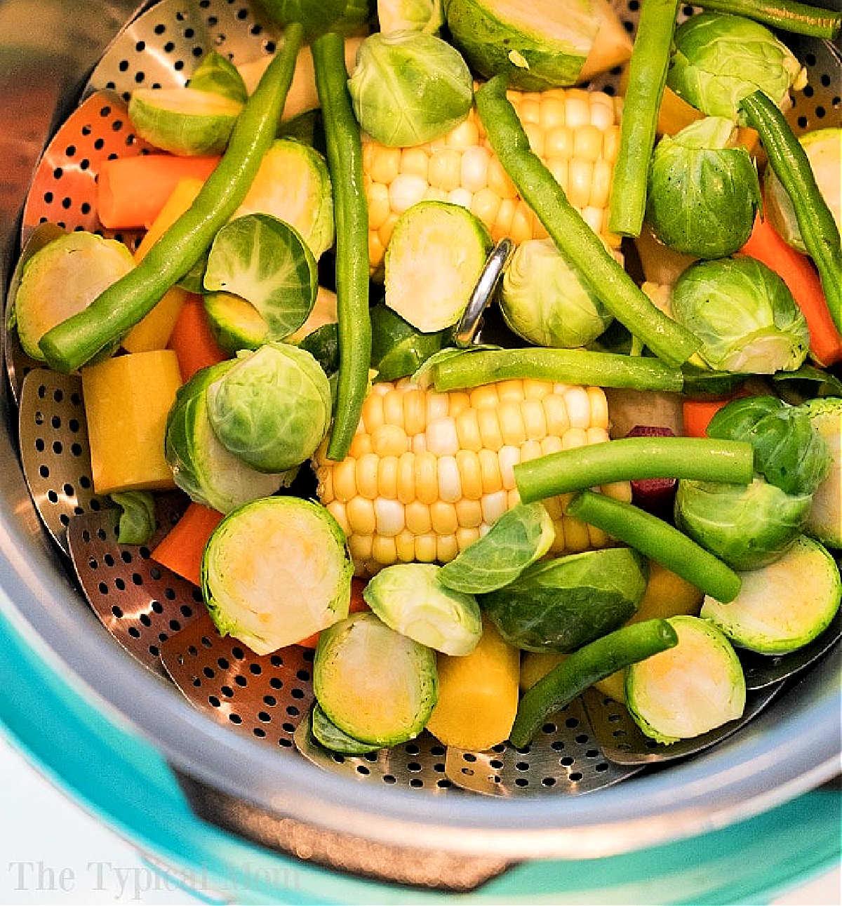 Instant Pot Steamed Vegetables