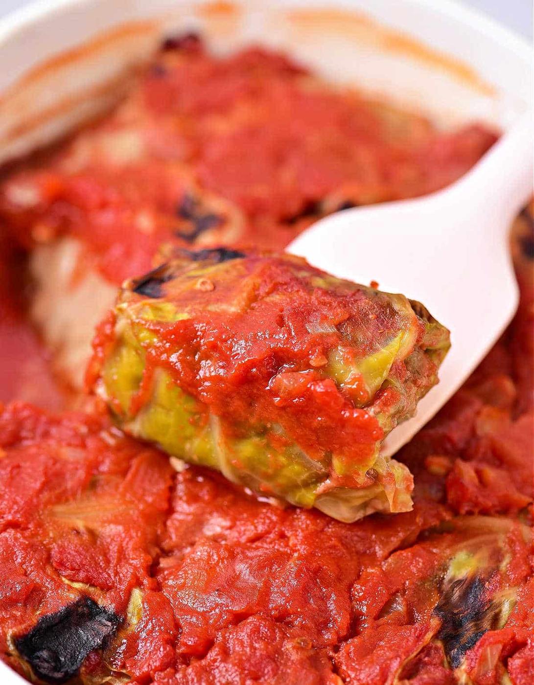 Instant Pot Stuffed Cabbage