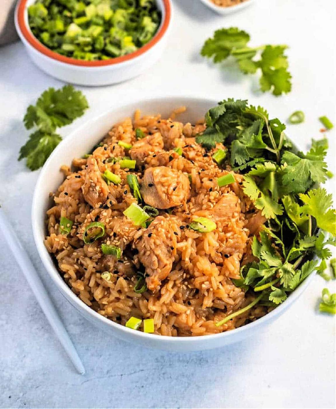 Instant Pot Teriyaki Chicken and Rice