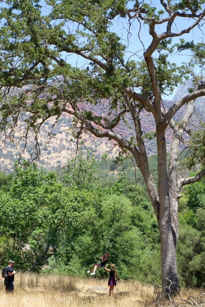 Lodging Near Sequoia National Park
