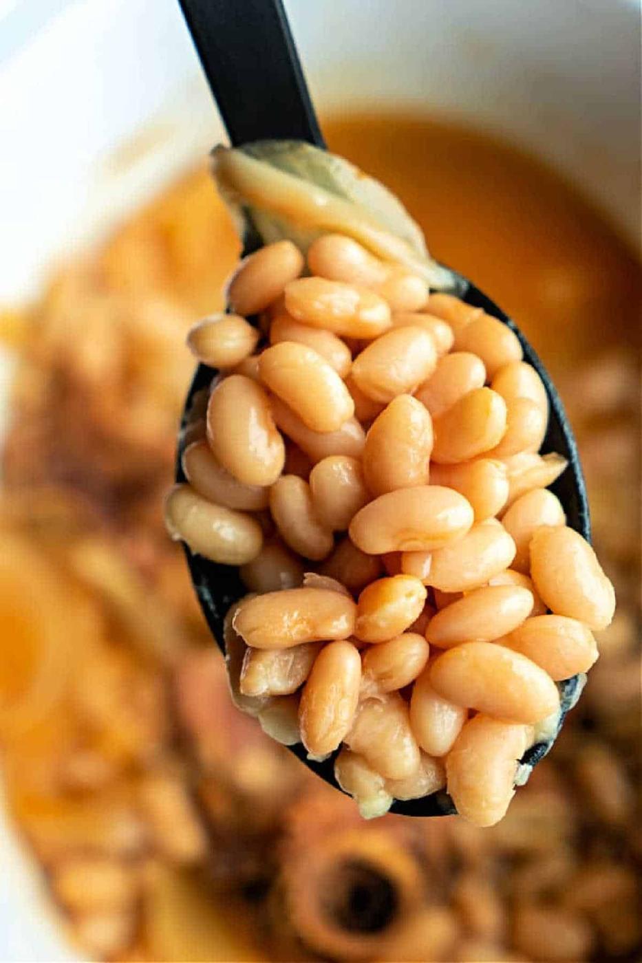 Mayocoba Beans Recipe