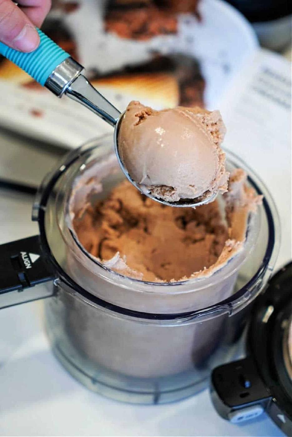 Ninja Creami Ice Cream Recipe