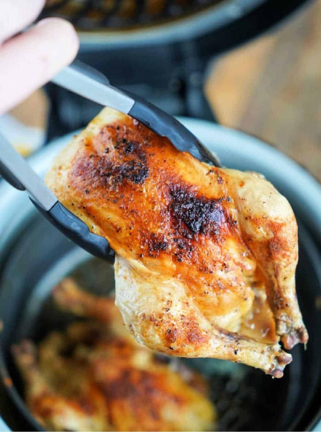 Ninja Foodi Cornish Hen Recipe