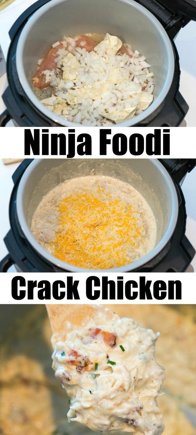 ninja foodi recipes