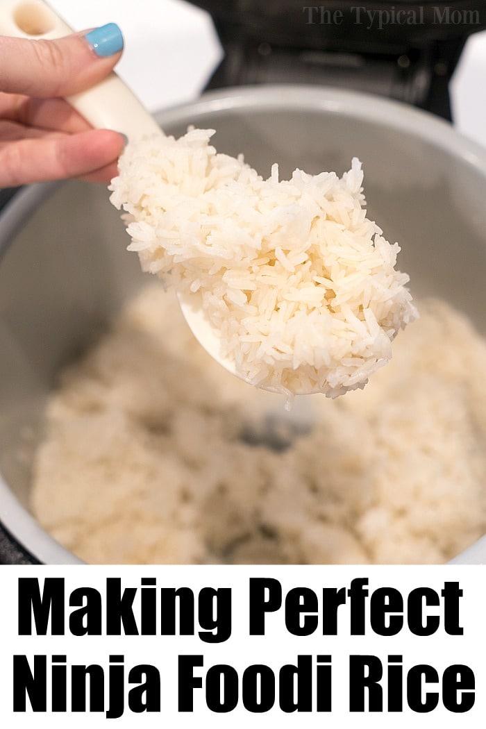 ninja foodi rice
