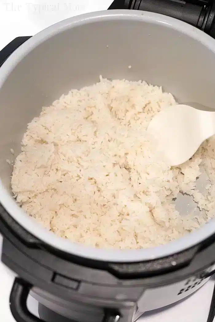 Ninja Foodi White Rice