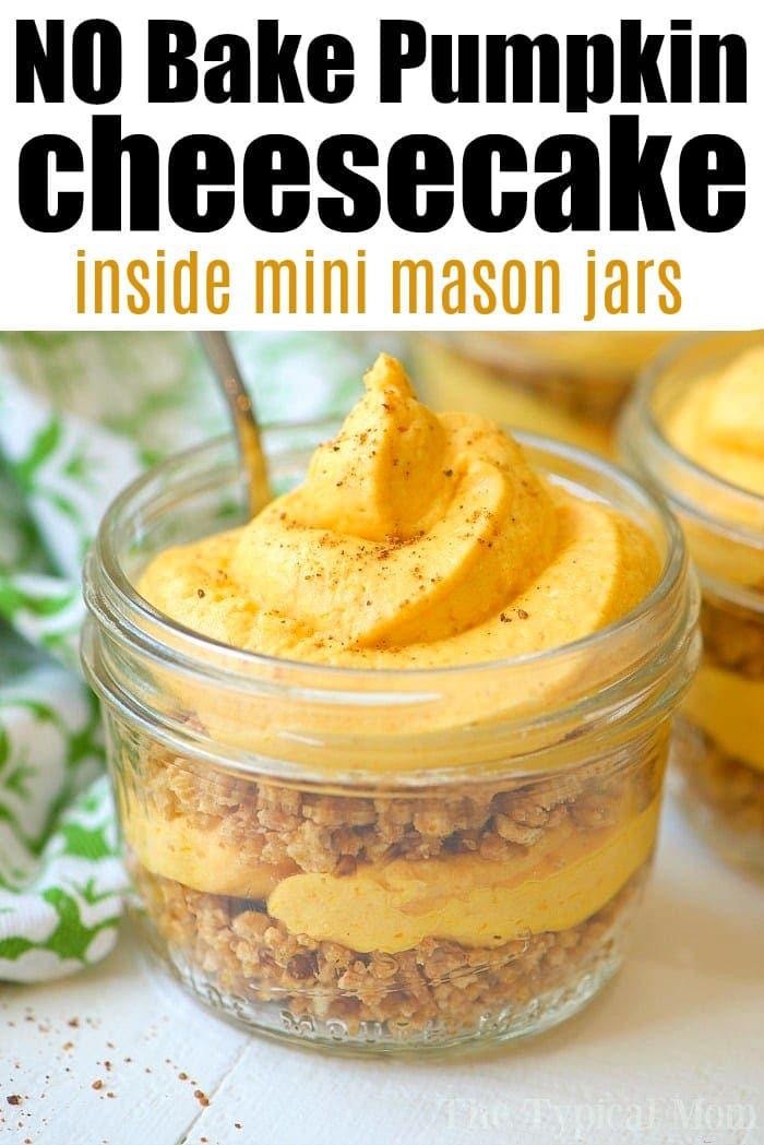 no-bake-pumpkin-cheesecake-4