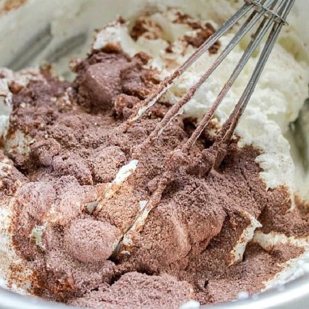 No Churn Chocolate Ice Cream No Eggs