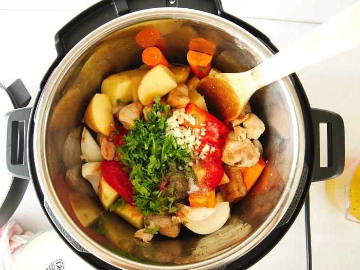 pressure cooker pork stew